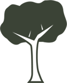 Hamilton Tree icon