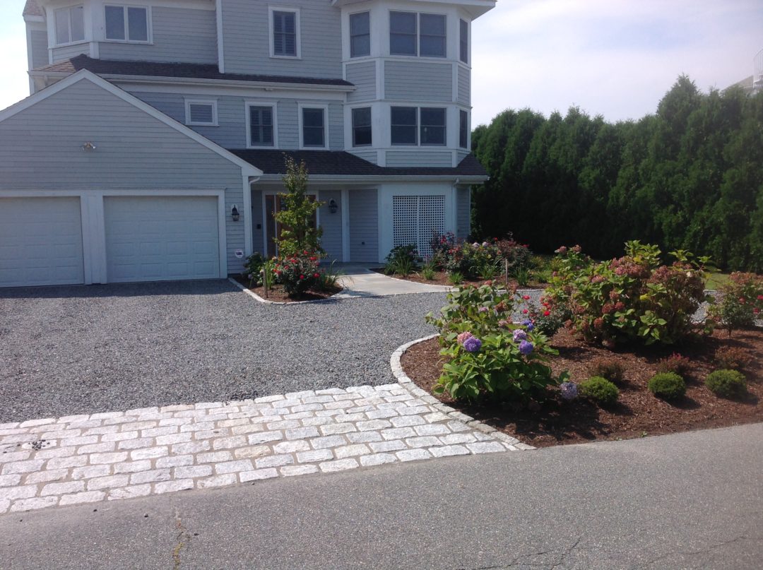 Falmouth 2017 Hamilton Tree and Landscape